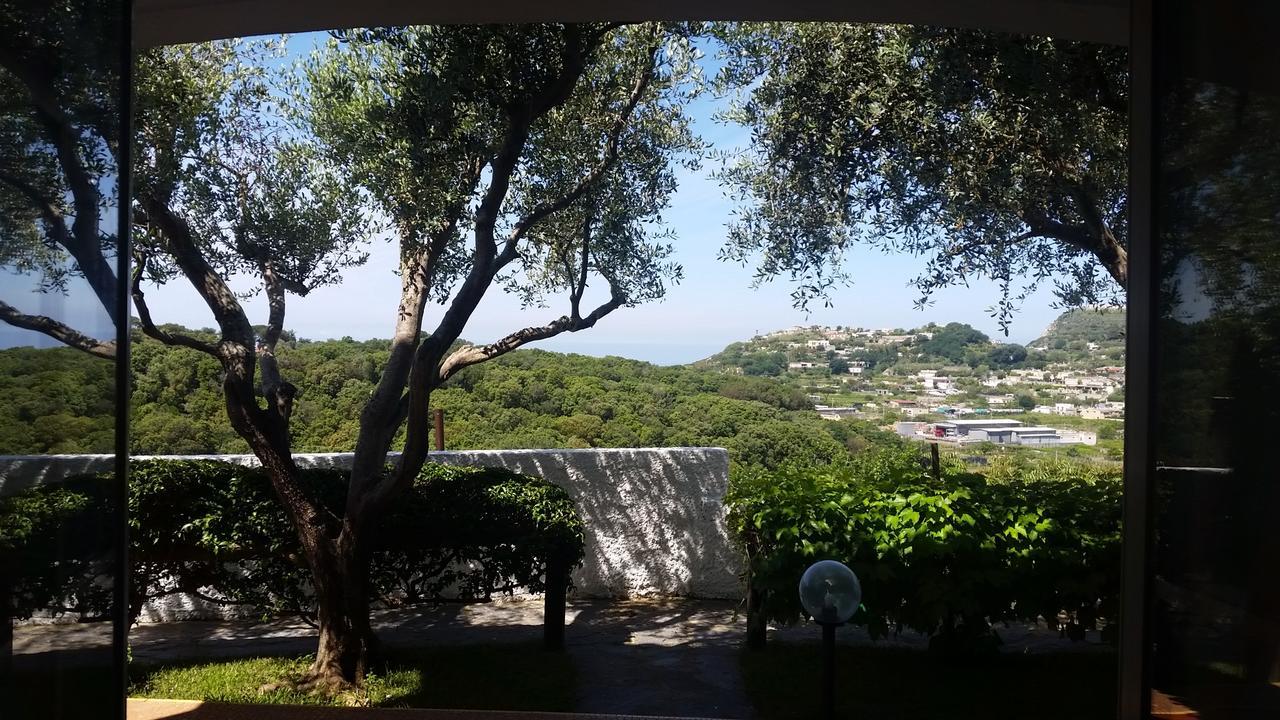 Appartamenti Luongo Forio  Exterior photo