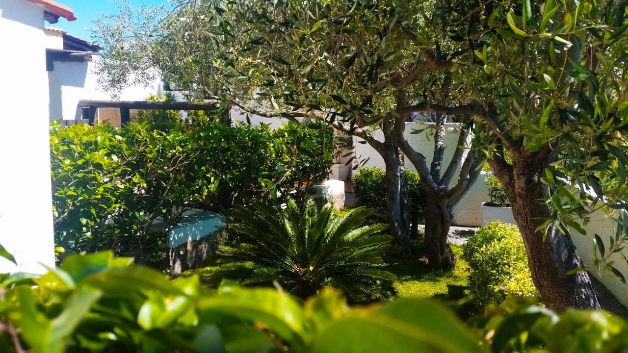 Appartamenti Luongo Forio  Exterior photo